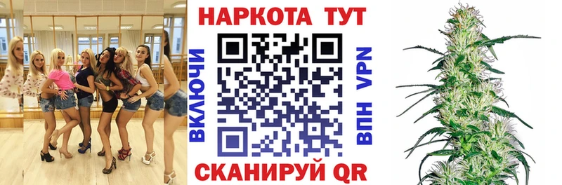 МДМА Сясьстрой