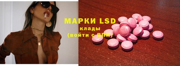 крисы Аркадак