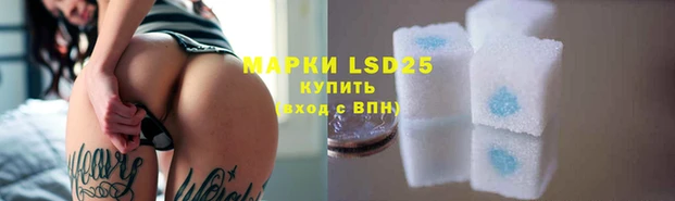 spice Арсеньев