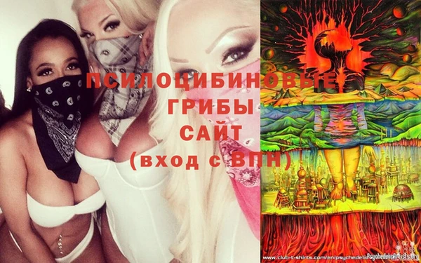 крисы Аркадак