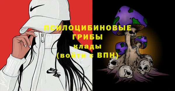 альфа пвп Армянск