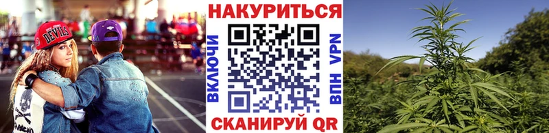 Бошки марихуана THC 21%  Сясьстрой 
